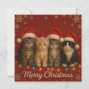 Cute chatons carte de Noël.