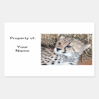 Cute Cheetah Cub Nom photo Étiquette /