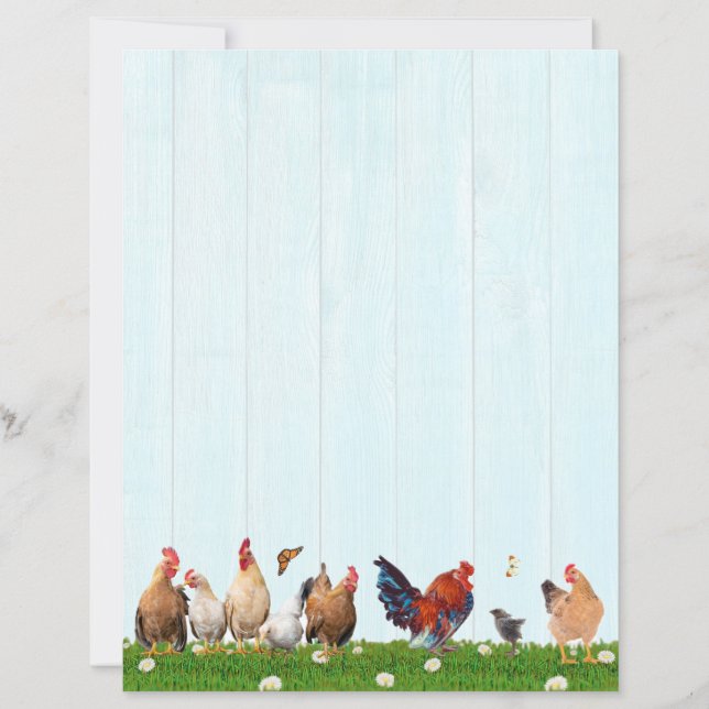 Cute Chicken Stationery - Added Cat on Back (Devant)