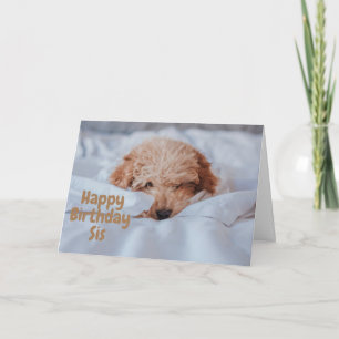 CUTE CHIEN POUR LA CARTE D'ANNIVERSAIRE DE MA SOEU