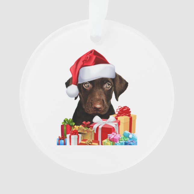 Cute Chocolat Lab Puppy Santa Hat Fun Image Chris (devant)