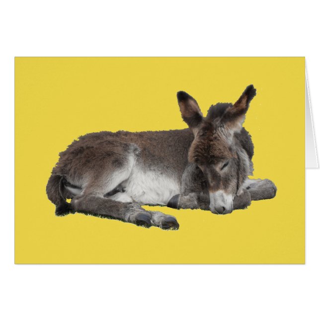 Cute chocolate donkey baby foal sleeping on yellow (Devant horizontal)