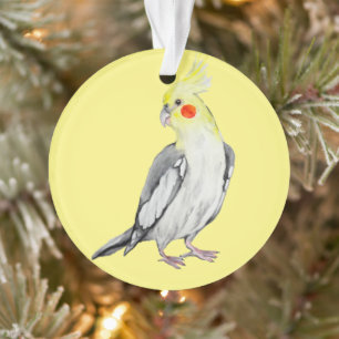 Cute Cockatiel Aquarelle Parrot.