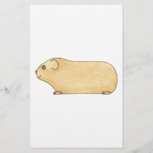 Cute Cream Guinée Pig.