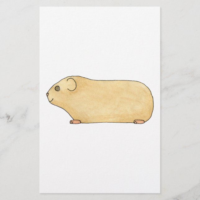 Cute Cream Guinée Pig. (Devant)