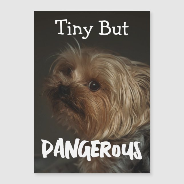 Cute Customizable Personalized Terrier Dog Mom Pet (Devant)