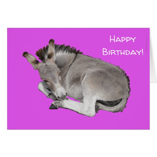 Cute Donkey (Devant horizontal)