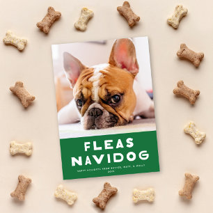 Cute Fleas Navidog chien animal de compagnie Carte