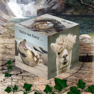 Cute Funny Animal Photo Cube