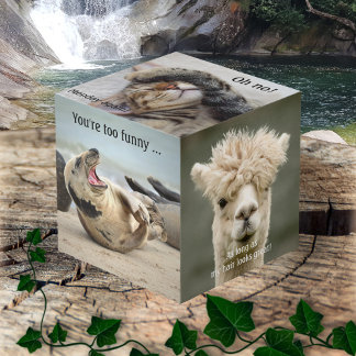 Cute Funny Animal Photo Cube