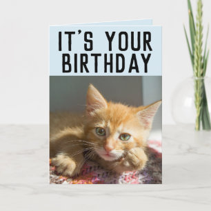 CUTE GINGER CAT KITTEN CARTES D'ANNIVERSAIRE