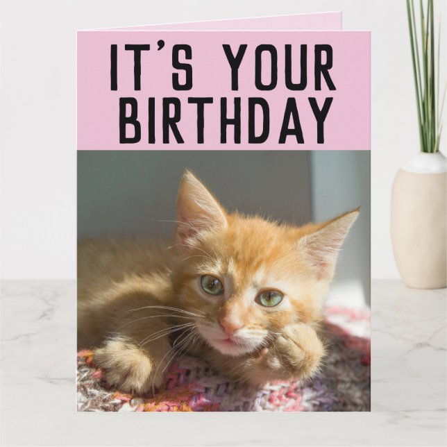 CUTE GINGER CAT KITTEN CARTES D'ANNIVERSAIRE (Devant)
