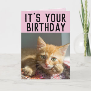 CUTE GINGER CAT KITTEN FILLES CARTES D'ANNIVERSAIR