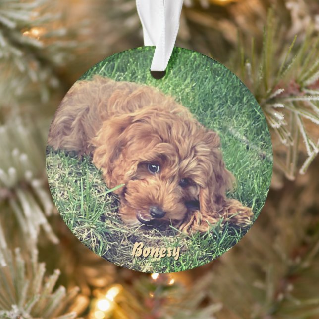 Cute Golden Doodle Ornament (Arbre)