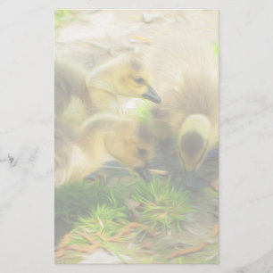 Cute Gosling