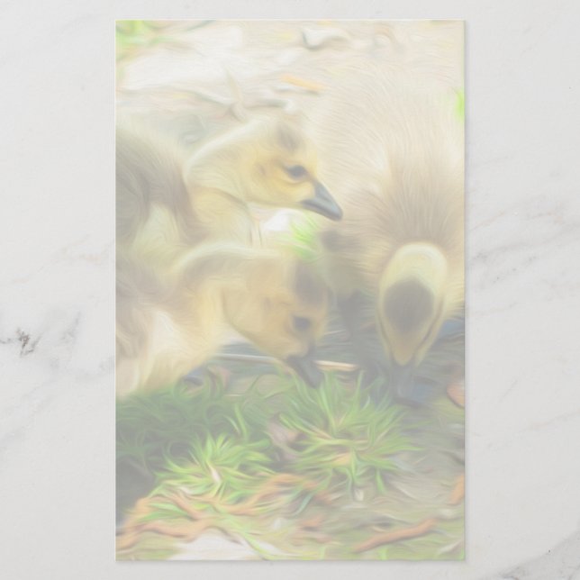 Cute Gosling (Devant)