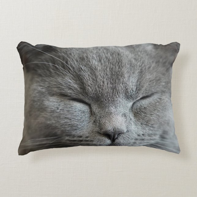 Cute Grey Kitty Chat Photo Accent Coussin (Devant)