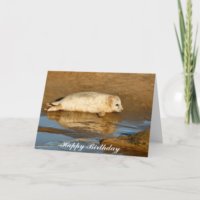 Cute Grey Seal Pup - Bonne carte de voeux d'annive (Devant)