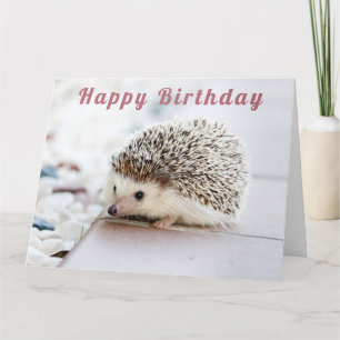 Cute Hedgehog - Bonne carte d'anniversaire