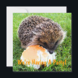 CUTE HEDGEHOG INVITATION<br><div class="desc">A cute little hedgehog enjoying a rather large meal!</div>