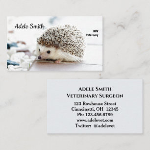 Cute Hedgehog Vétérinaire Carte de visite standard