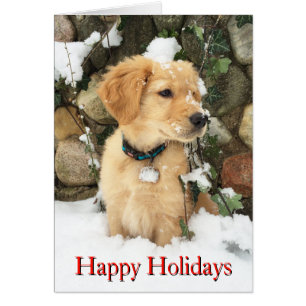 Cute Holiday Puppy laboratoire extracteur