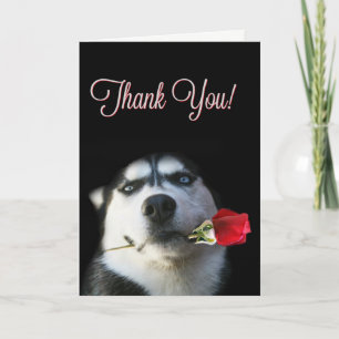 Cute Husky et Carte de remerciements Rose
