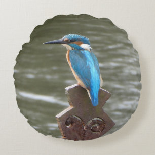 Cute Kingfisher Coussin ronde