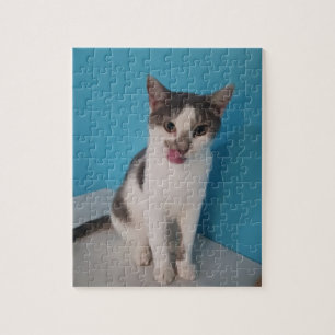 Cute Kitty Jigsaw Puzzle Puzzle