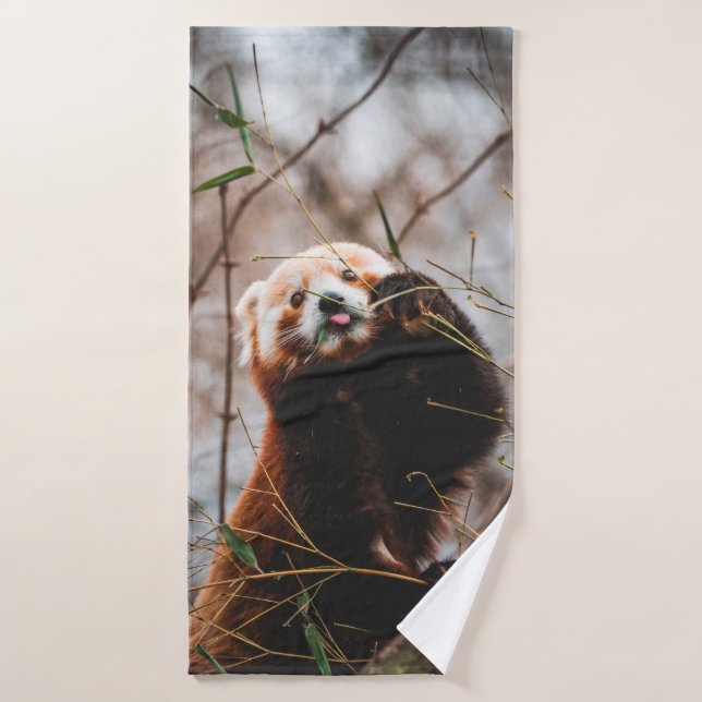 CUTE KOALA BEAR (Serviette de bain)