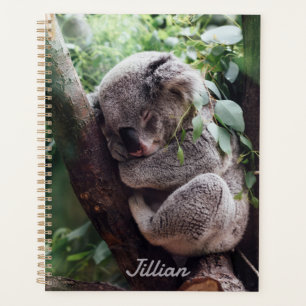 Cute Koala Ours Amoureux des animaux annuel