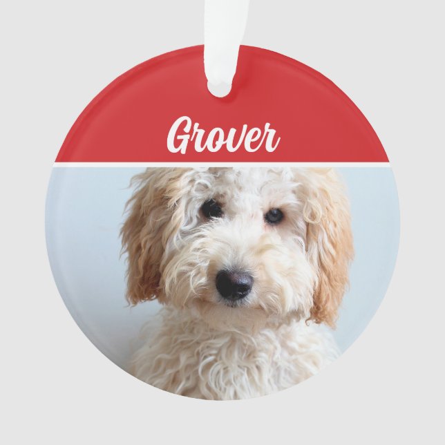 Cute Labradoodle Chien Fête de Noël Photo (devant)