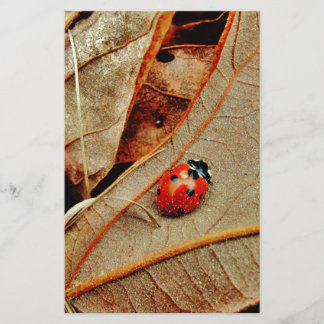 cute Ladybug costume