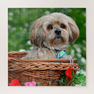 Cute Lhasa Apso Chien dans le panier Puzzle