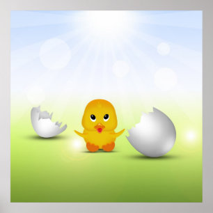 Cute Little Chick - Impression de l'affiche