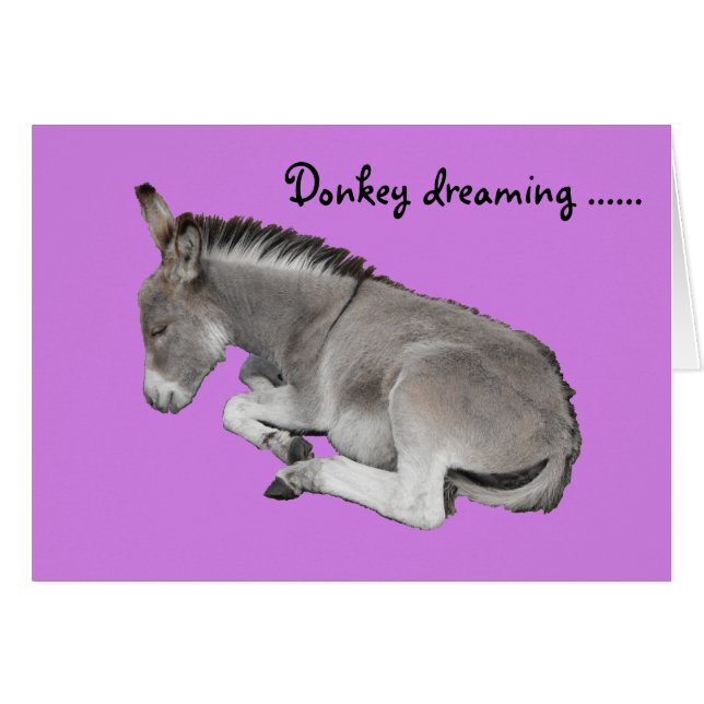Cute Little Grey Donkey Baby Foal (Devant horizontal)