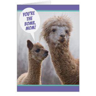 Cute Llama comme ta carte de fête des mères