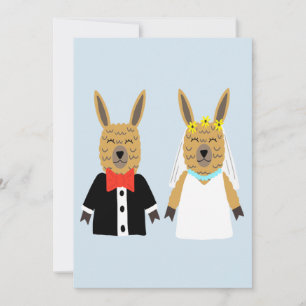 Cute Llama mariée et chambre