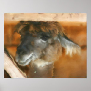 Cute Llama Visage ferme Animal Art Poster