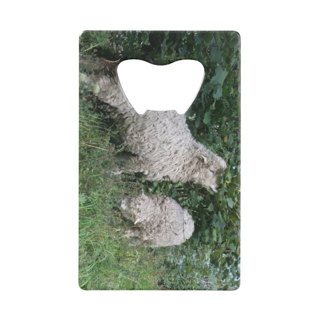 Cute Mange Manger Feuille Bottle Opener (Devant)
