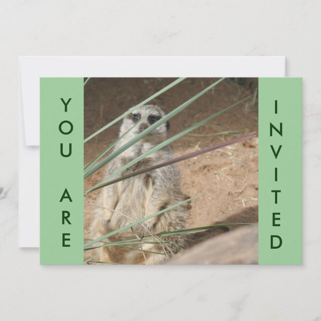 Cute Meerkat Invitation (Devant)