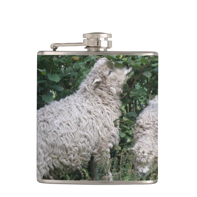 Cute mouton Manger Flacon Feuille (Devant)