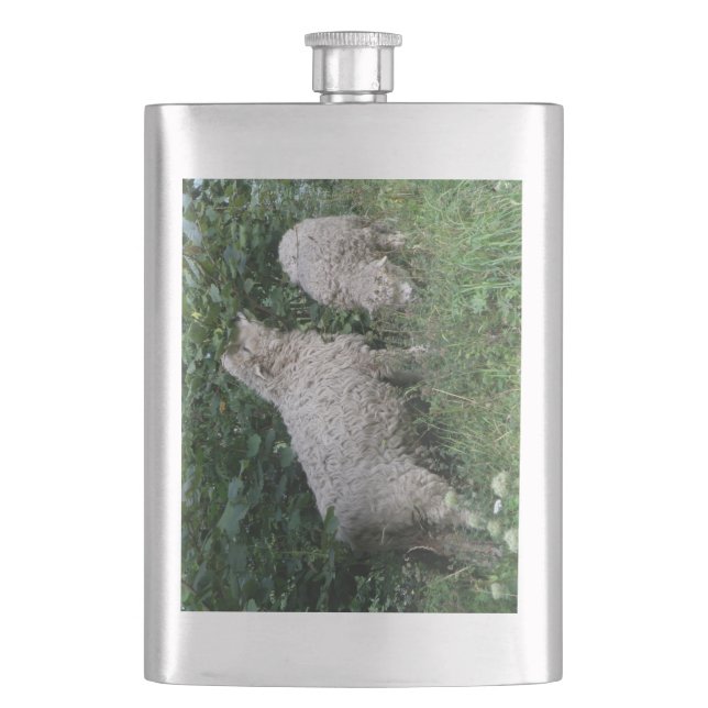 Cute mouton Manger Flacon Feuille (devant)