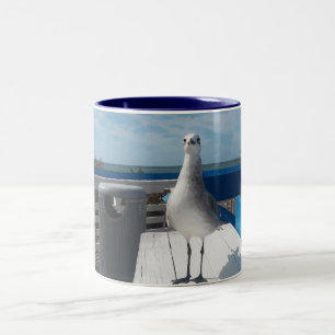 Cute Naples FL Seagull Print Coffee Mug