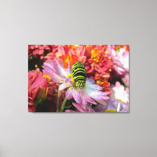Cute Nosy Caterpillar N Mums Toile Enveloppée