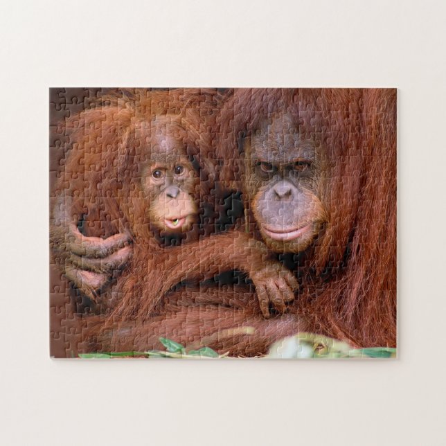 Cute Orangutan maman et bébé, Jigsaw Puzzle (Horizontal)