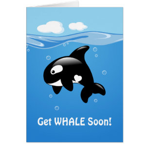 Cute Orca Get WHALE (Well) Soon