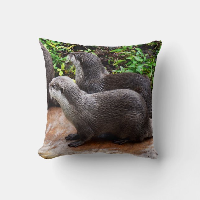 Cute Otterly, Otter, Coussin Lounge. (Recto)