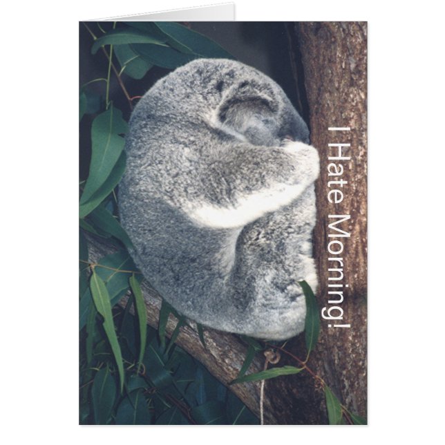 CUTE OURS DE KOALA DANS L'ARBRE/"JE DÉTESTE LE MAT (Devant)
