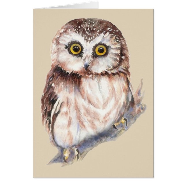 Cute Owl - Aquarelle Collection d'oiseaux (Devant)